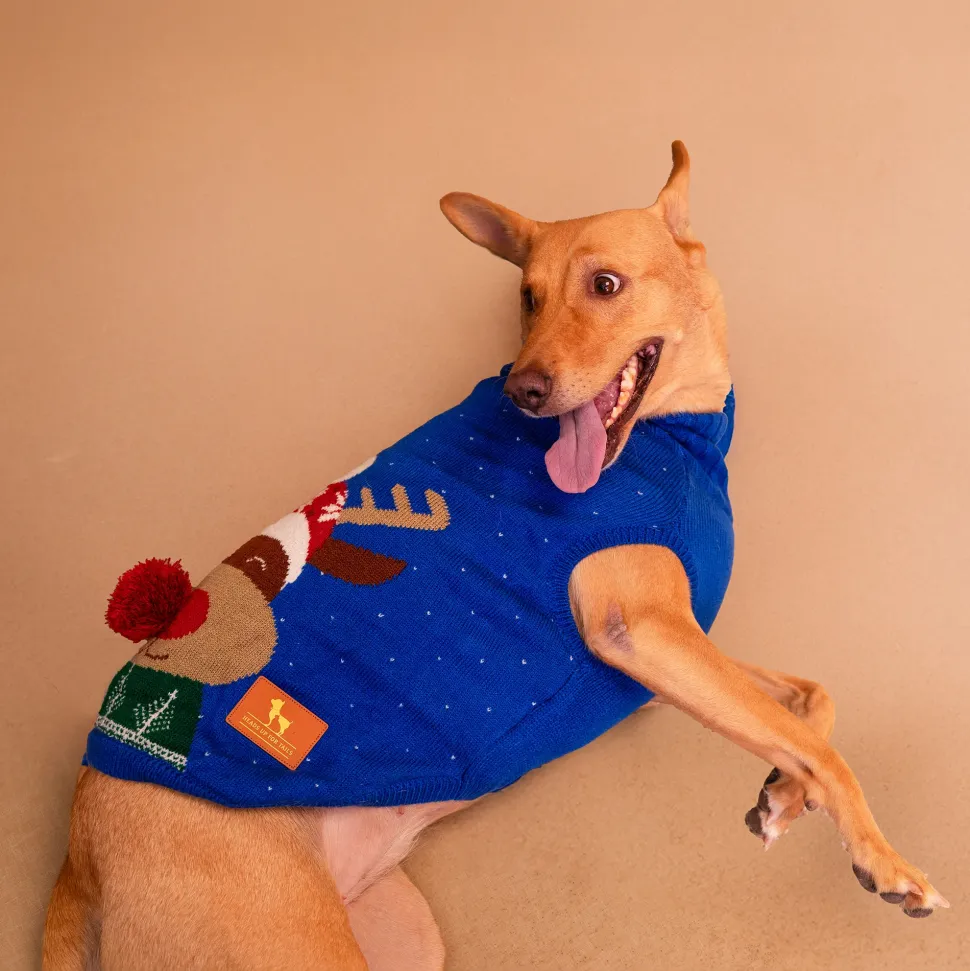 HUFT Reindeer Cheer Sweater For Dog - Blue