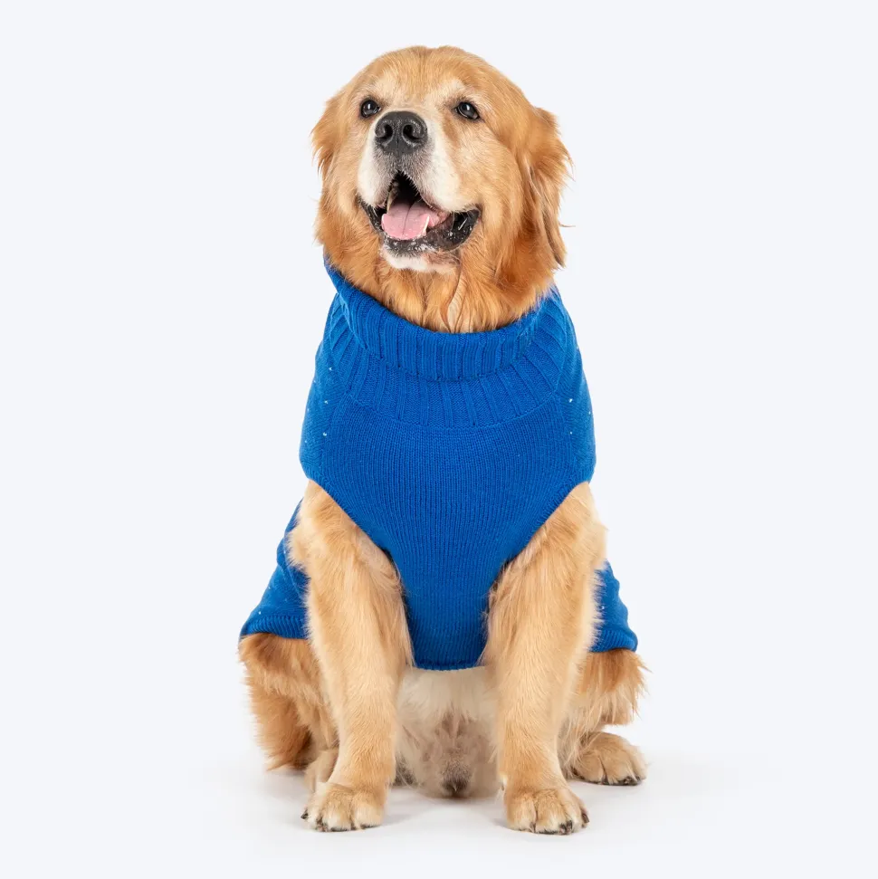 HUFT Reindeer Cheer Sweater For Dog - Blue