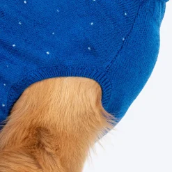 HUFT Reindeer Cheer Sweater For Dog - Blue