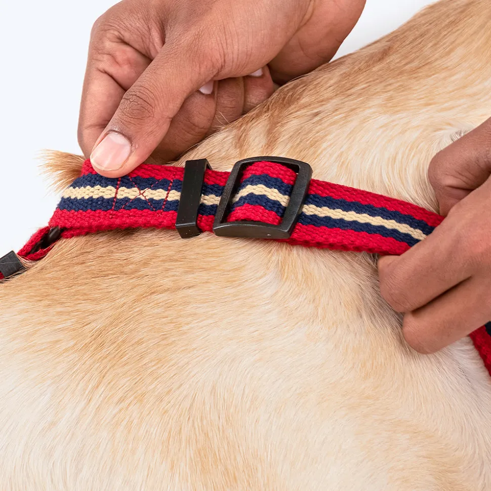HUFT Retro Vibes Dog H-Harness - Maroon & Navy