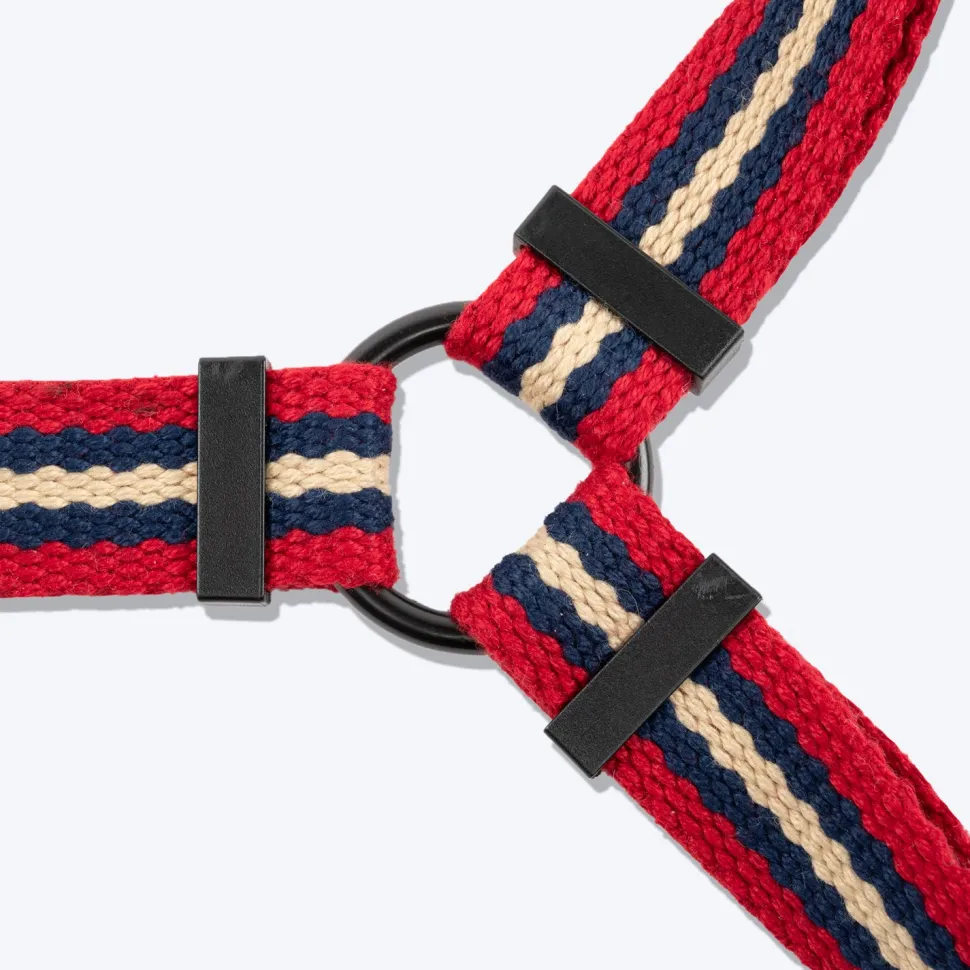 HUFT Retro Vibes Dog H-Harness - Maroon & Navy