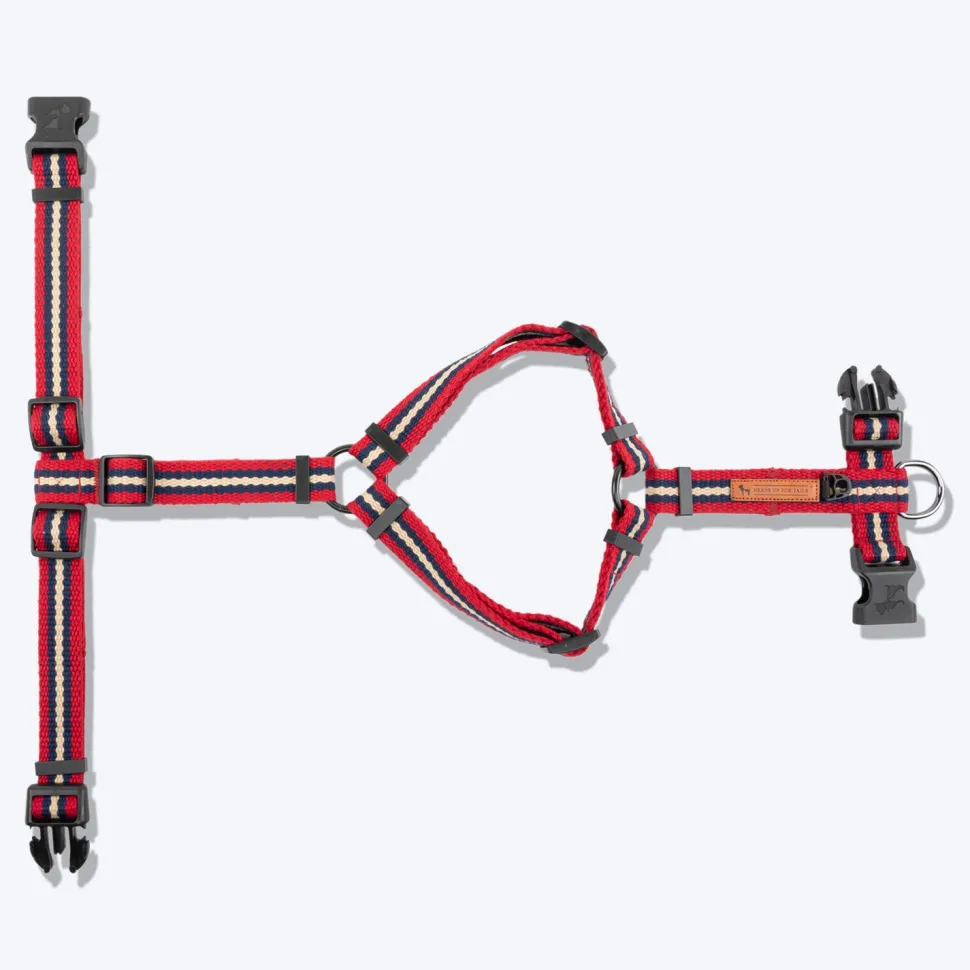HUFT Retro Vibes Dog H-Harness - Maroon & Navy