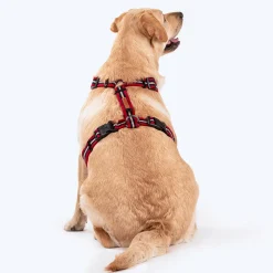 HUFT Retro Vibes Dog H-Harness - Maroon & Navy