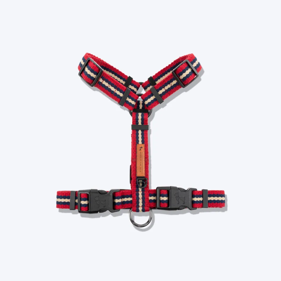 HUFT Retro Vibes Dog H-Harness - Maroon & Navy