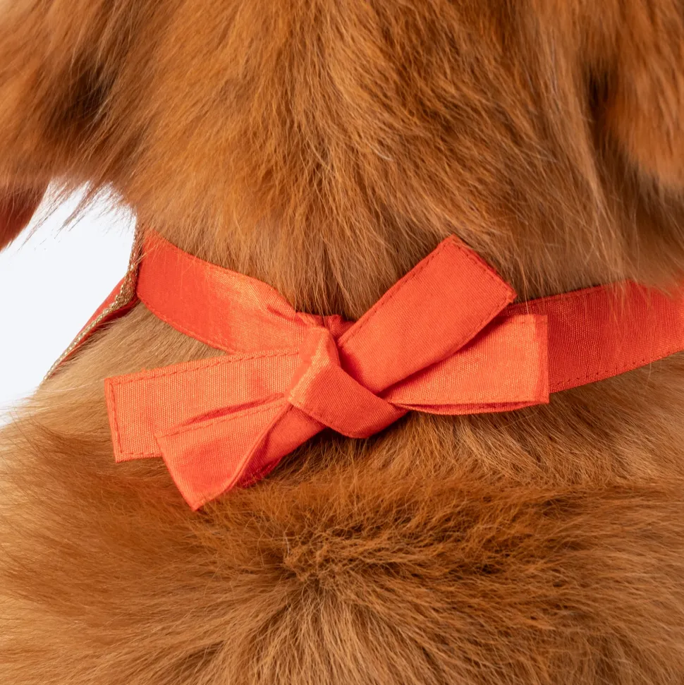 HUFT Royal Elephant Bandana For Dog - Orange