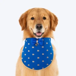 HUFT Royal Elephant Bandana For Dog - Royal Blue