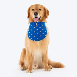 HUFT Royal Elephant Bandana For Dog - Royal Blue