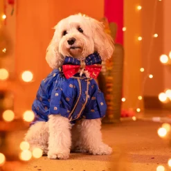 HUFT Royal Rang Bow Tie For Dog - Red & Blue