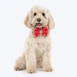 HUFT Royal Rang Bow Tie For Dog - Red