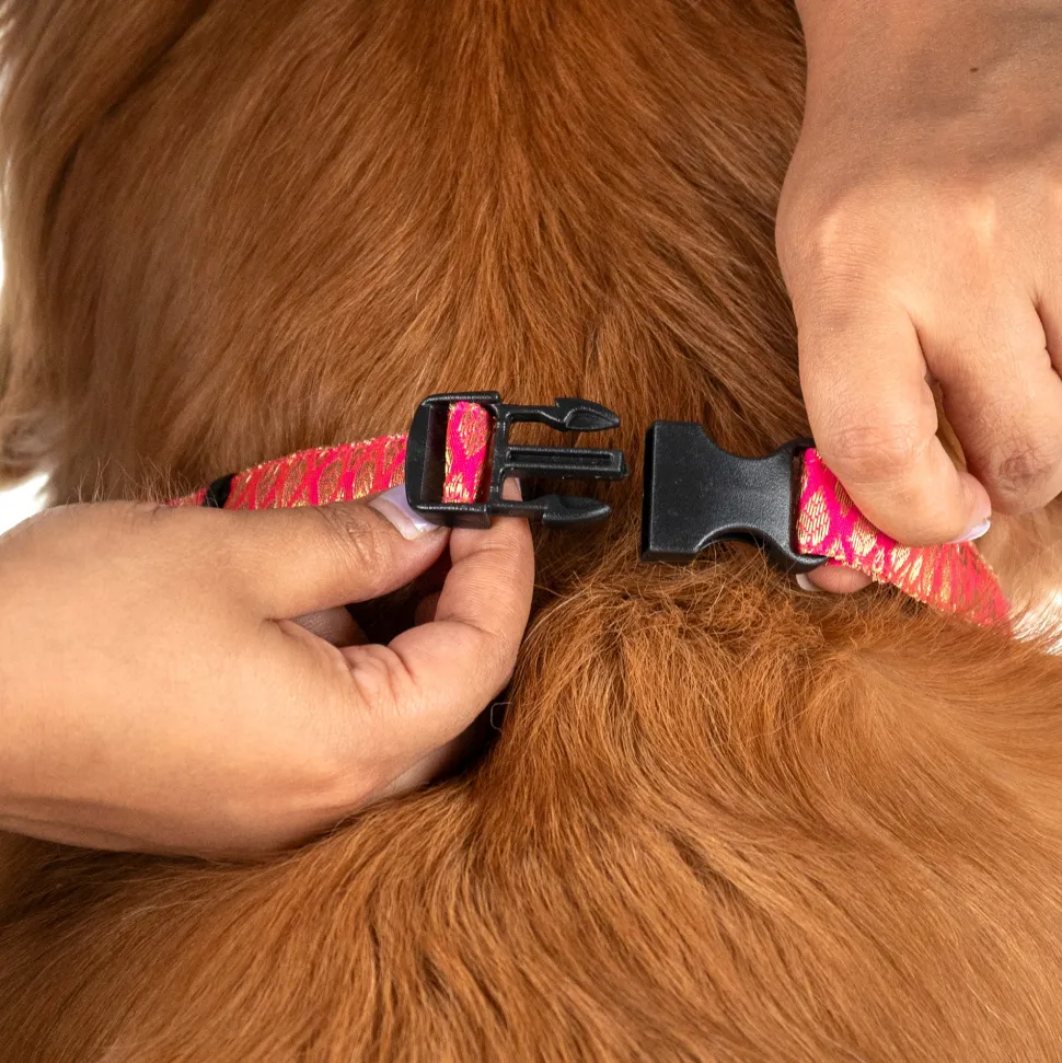 HUFT Royal Rang Bow Tie With Strap For Dog - Pink