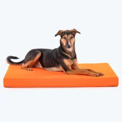 HUFT Royal Snooze Bed for Dog - Grey & Orange