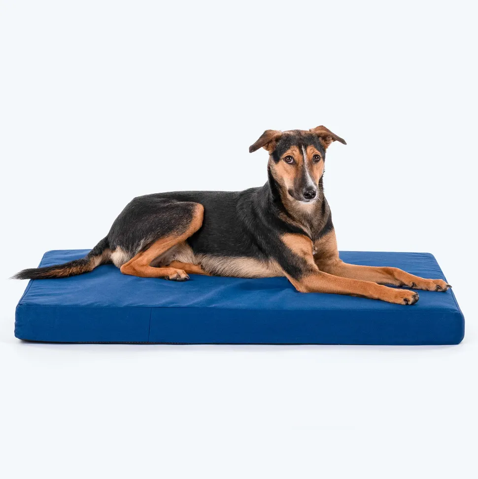 HUFT Royal Snooze Bed for Dog - Navy