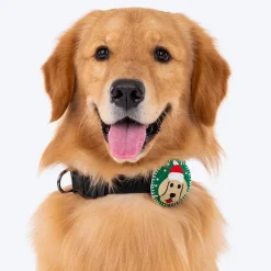 HUFT Santa Furry Dog Collar Insert (Green)