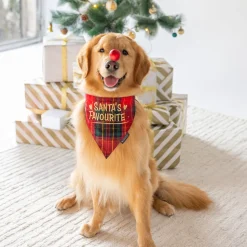 HUFT Santa's Favourite Bandana For Dog - Red