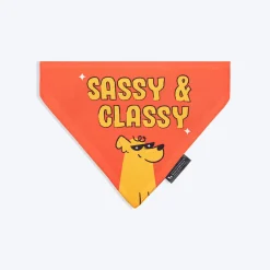 HUFT Sassy & Classy Bandana For Dog - Orange