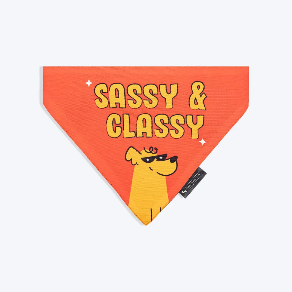 HUFT Sassy & Classy Bandana For Dog - Orange