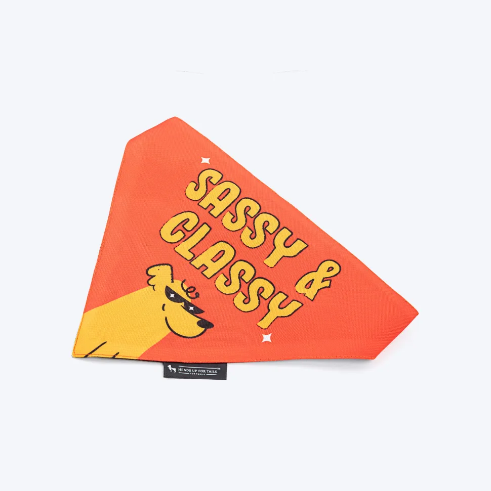 HUFT Sassy & Classy Bandana For Dog - Orange