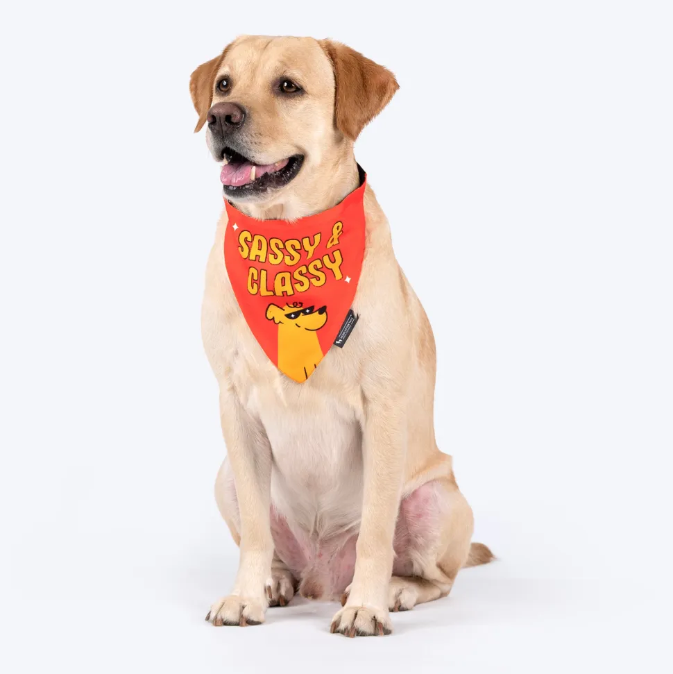 HUFT Sassy & Classy Bandana For Dog - Orange