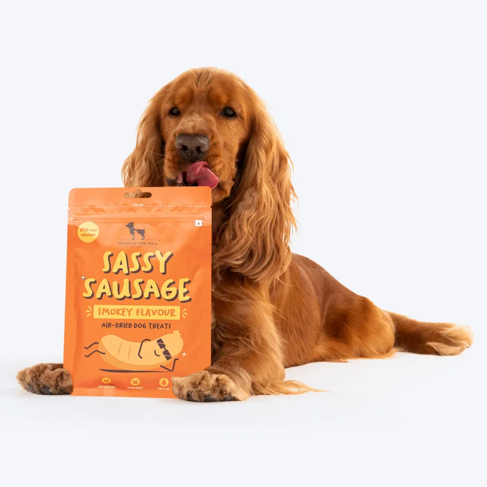 HUFT Sassy Sausage Smokey Air-Dried Dog Treats - Real Chicken - 100gm
