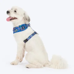 HUFT Scribble Dribble Adjustable Harness For Dog - Blue