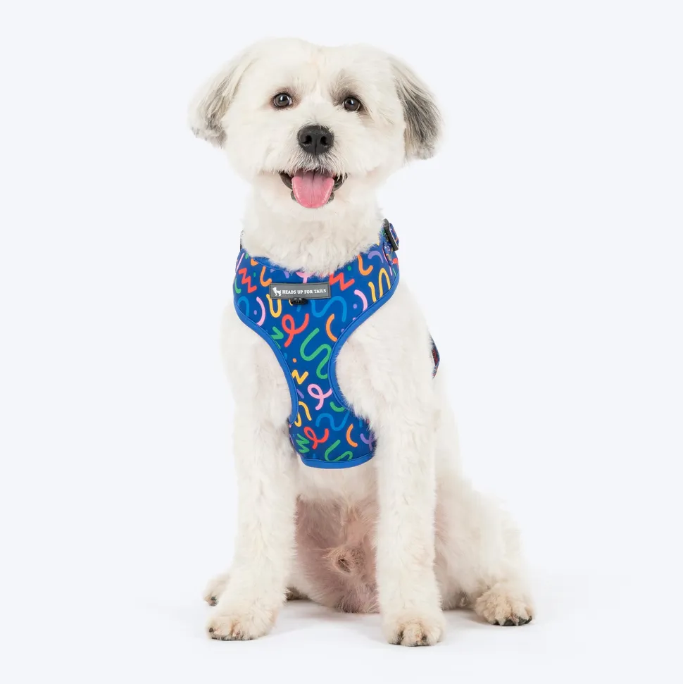 HUFT Scribble Dribble Adjustable Harness For Dog - Blue