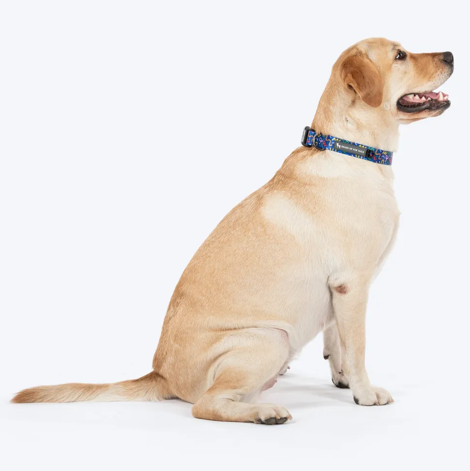 HUFT Scribble Dribble Collar For Dog - Blue