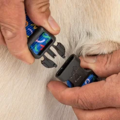 HUFT Scribble Dribble Collar For Dog - Blue