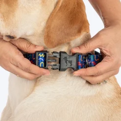 HUFT Scribble Dribble Collar For Dog - Blue