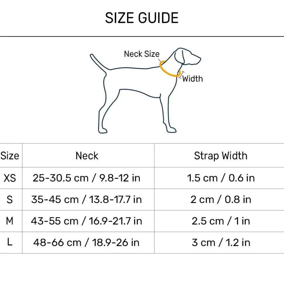 HUFT Scribble Dribble Collar For Dog - Blue