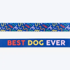 HUFT Scribble Dribble Leash For Dog – Blue
