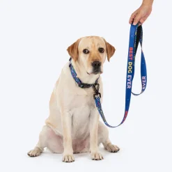 HUFT Scribble Dribble Leash For Dog – Blue