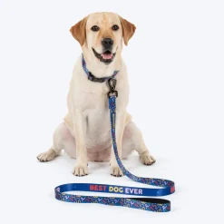 HUFT Scribble Dribble Leash For Dog – Blue