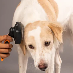 HUFT Self Cleaning Slicker Brush for Dogs - Orange