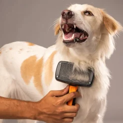 HUFT Self Cleaning Slicker Brush for Dogs - Orange