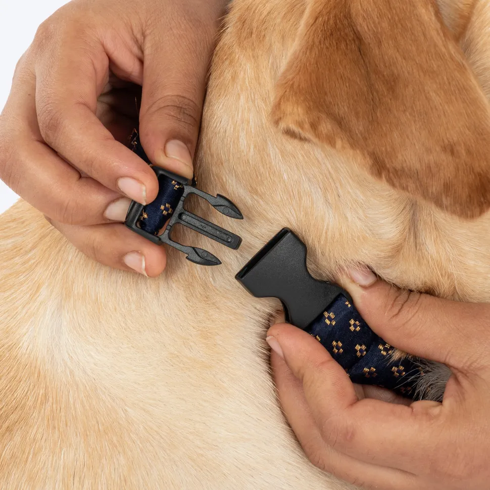 HUFT Shahi Paws Bow Tie With Strap For Dog - Blue & Green