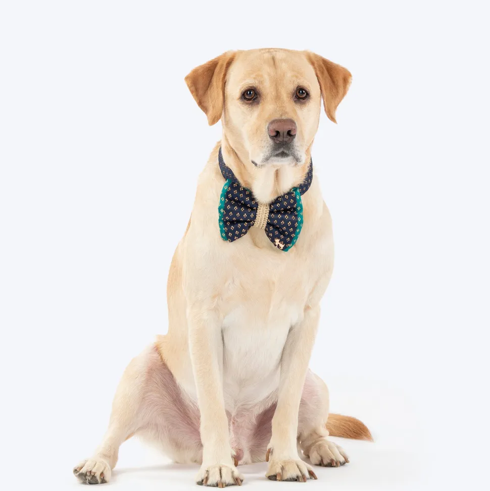 HUFT Shahi Paws Bow Tie With Strap For Dog - Blue & Green