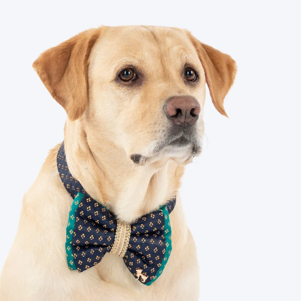 HUFT Shahi Paws Bow Tie With Strap For Dog - Blue & Green