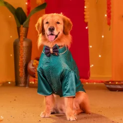 HUFT Shahi Paws Kurta For Dog & Cat - Green