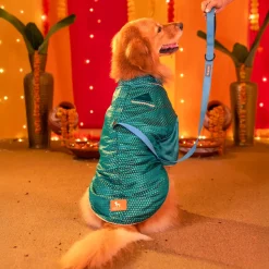 HUFT Shahi Paws Kurta For Dog & Cat - Green