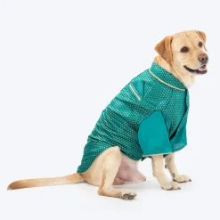 HUFT Shahi Paws Kurta For Dog & Cat - Green