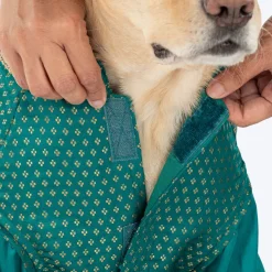 HUFT Shahi Paws Kurta For Dog & Cat - Green