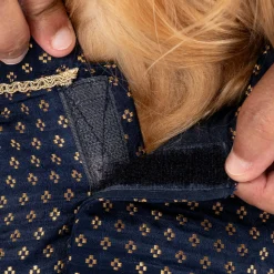 HUFT Shahi Paws Kurta For Dog & Cat - Navy Blue