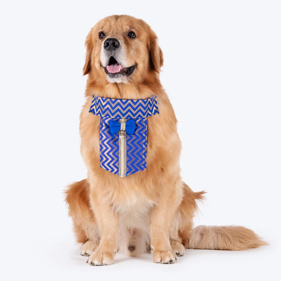 HUFT Shahi Sherwani Bandana For Dog - Royal Blue