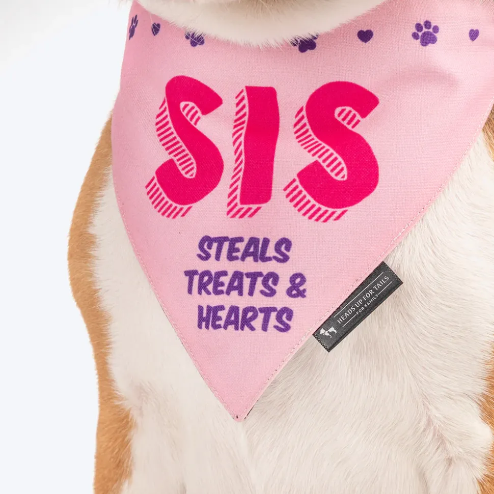 HUFT Sis - Steals Treats & Hearts Dog Bandana