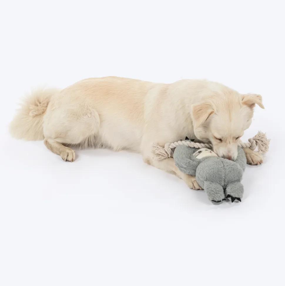 HUFT Sleepy Sloth Plush Toy for Dog - Grey