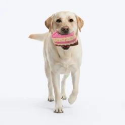 HUFT Slice Of Life Plush Toy For Dog - Multicolor