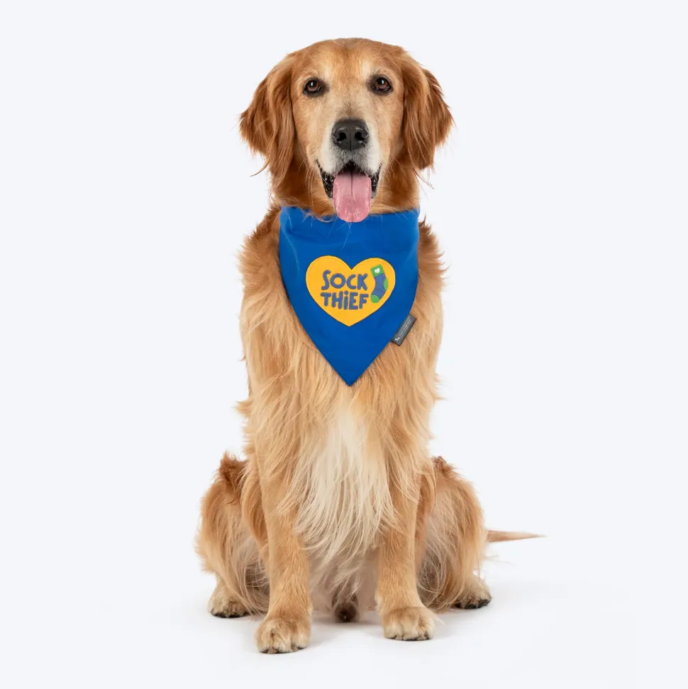 HUFT Socks Thief Bandana For Dog - Blue