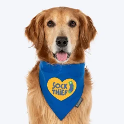 HUFT Socks Thief Bandana For Dog - Blue