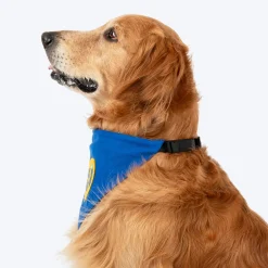HUFT Socks Thief Bandana For Dog - Blue