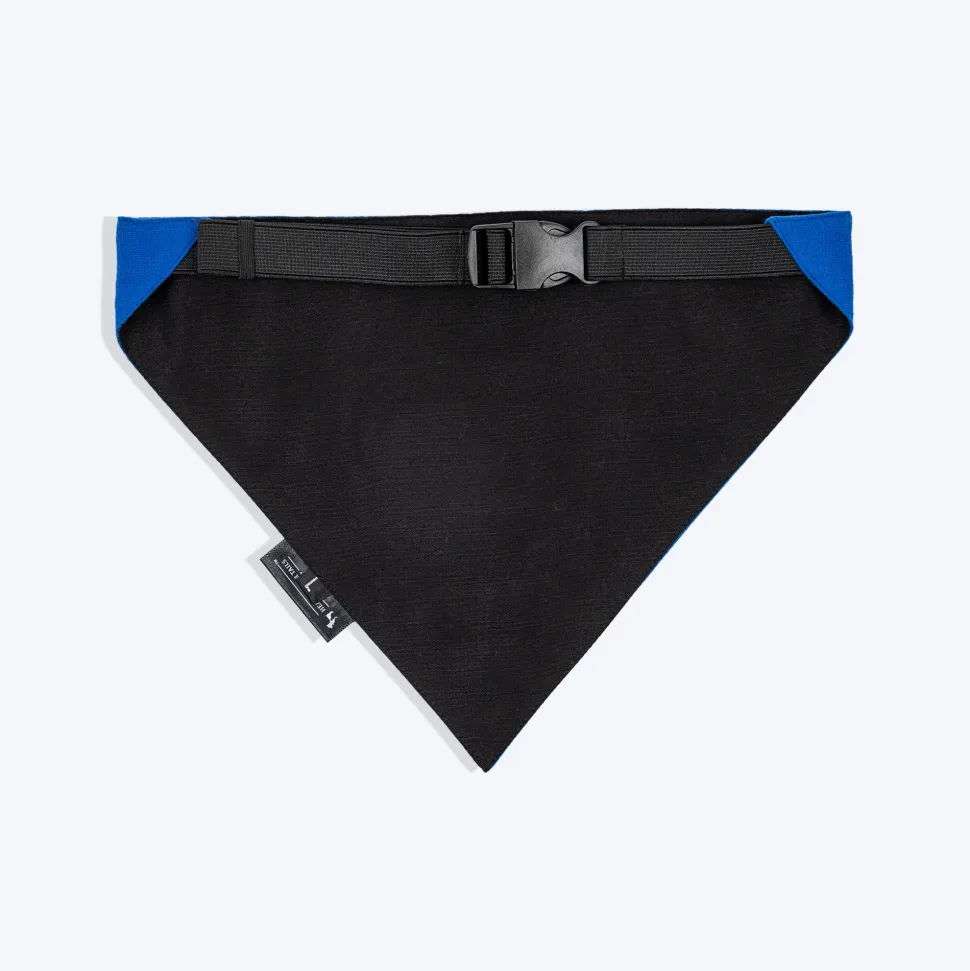 HUFT Socks Thief Bandana For Dog - Blue
